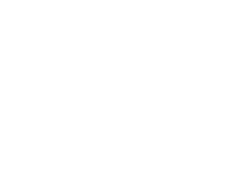 Fast Delivery Icon